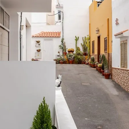 Apartment Casa Romania - Terra Armenime